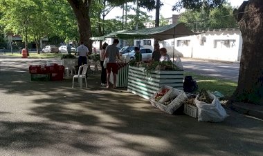 Ecofeira da Rural é opção para quem deseja comprar alimentos da agricultura familiar na área urbana