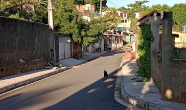 Comunidade tem necessidade da implantação de uma linha do transporte complementar no Recife